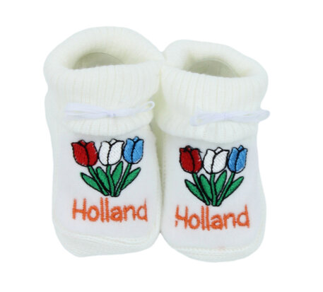 Slofjes tulp steel Holland